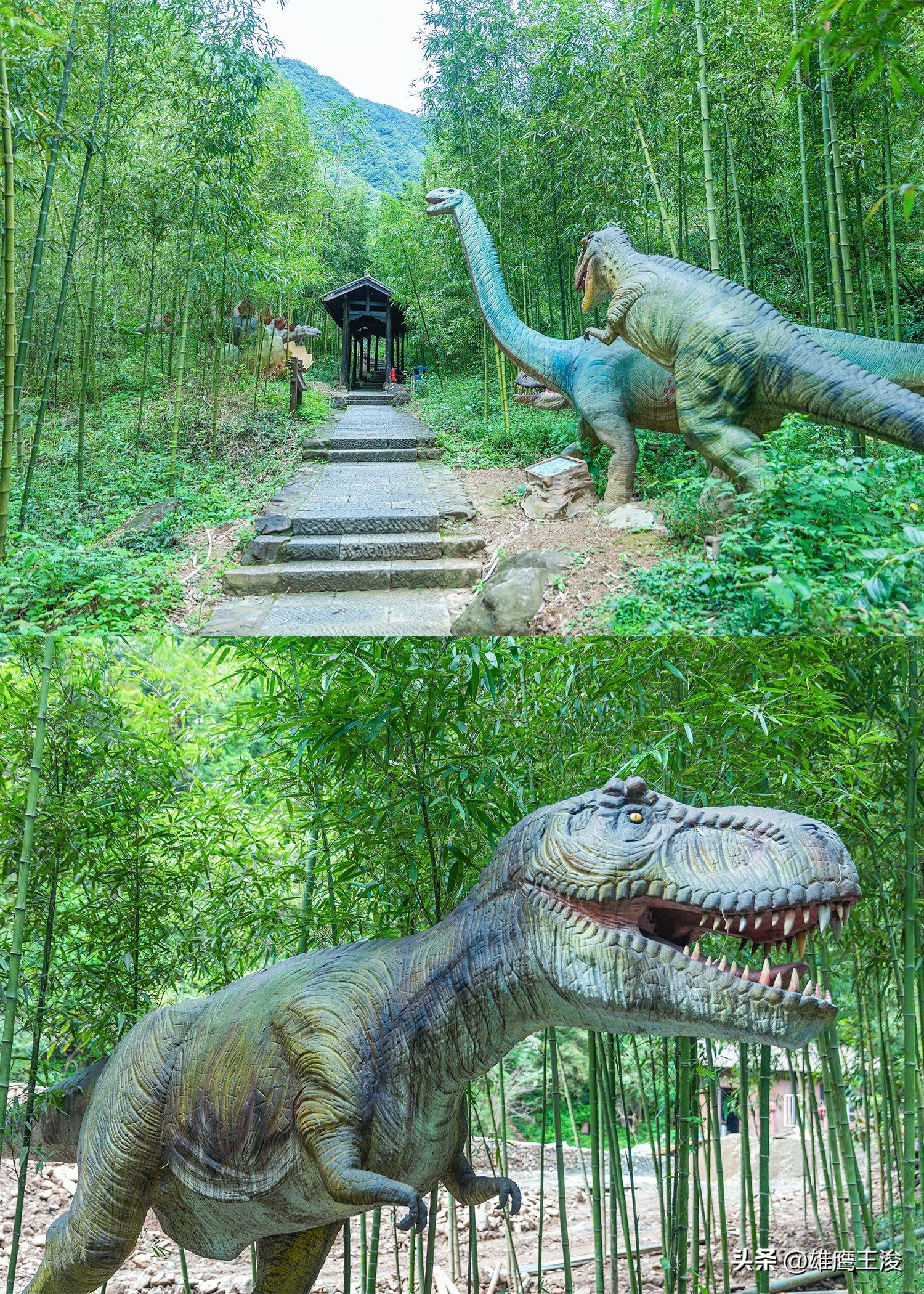 距杭州1000公里的景区有哪些,距离杭州2小时车程以内的景点