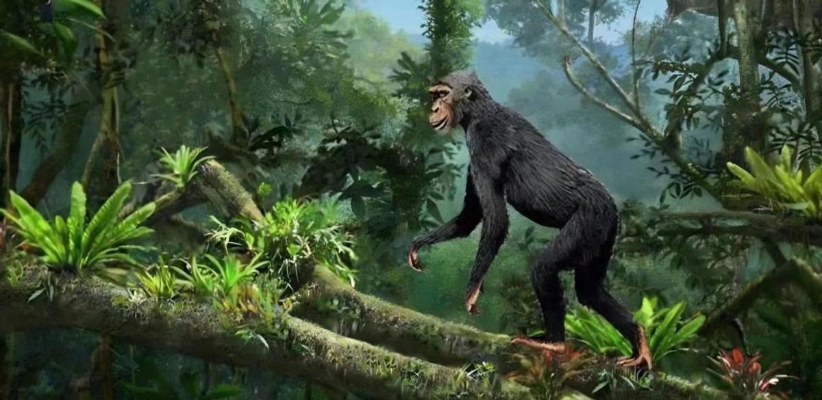 人类为什么会退去体毛？却留下来腋毛、阴毛等一小部分头发？