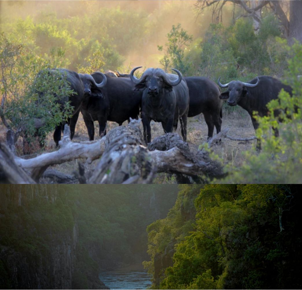 蛟龙穿云别墅在哪里,蛟龙穿云