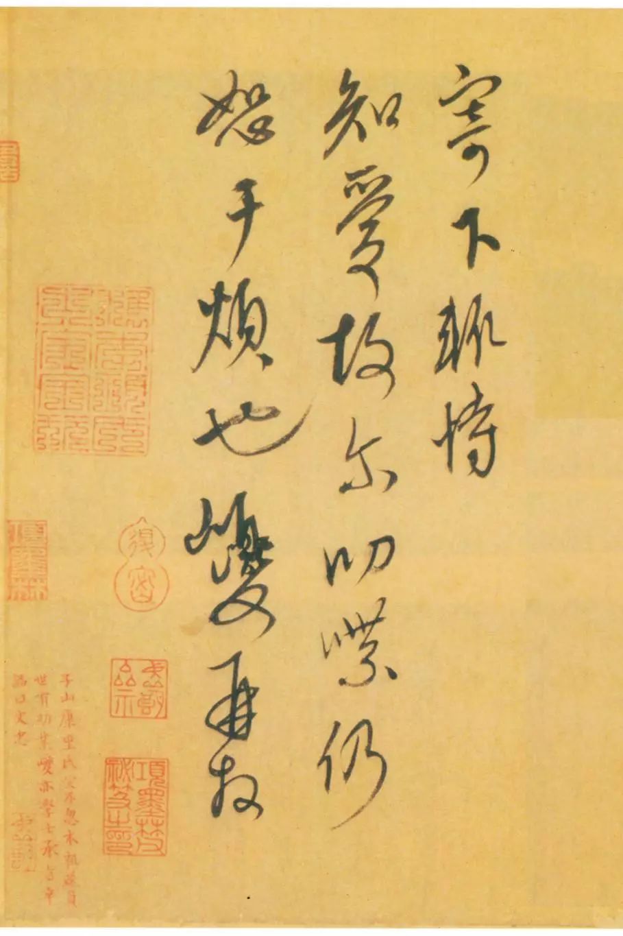 宸ョ瑪鐢绘潹鏅箟鐢诲唽,鏉滈箖鏉ㄦ櫘涔夊畬鏁寸増