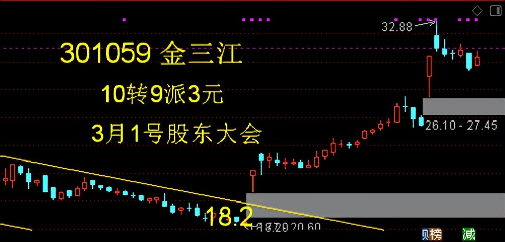 新瀚新材募集资金投向 (301076新瀚新材上市预测)