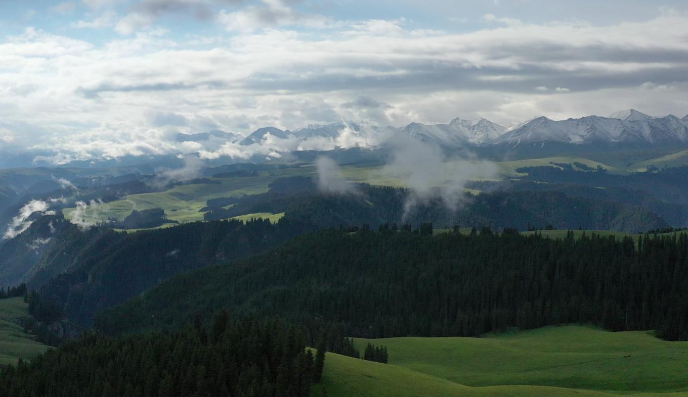 新疆伊犁之美,走了一圈才发现世界万物远不及你