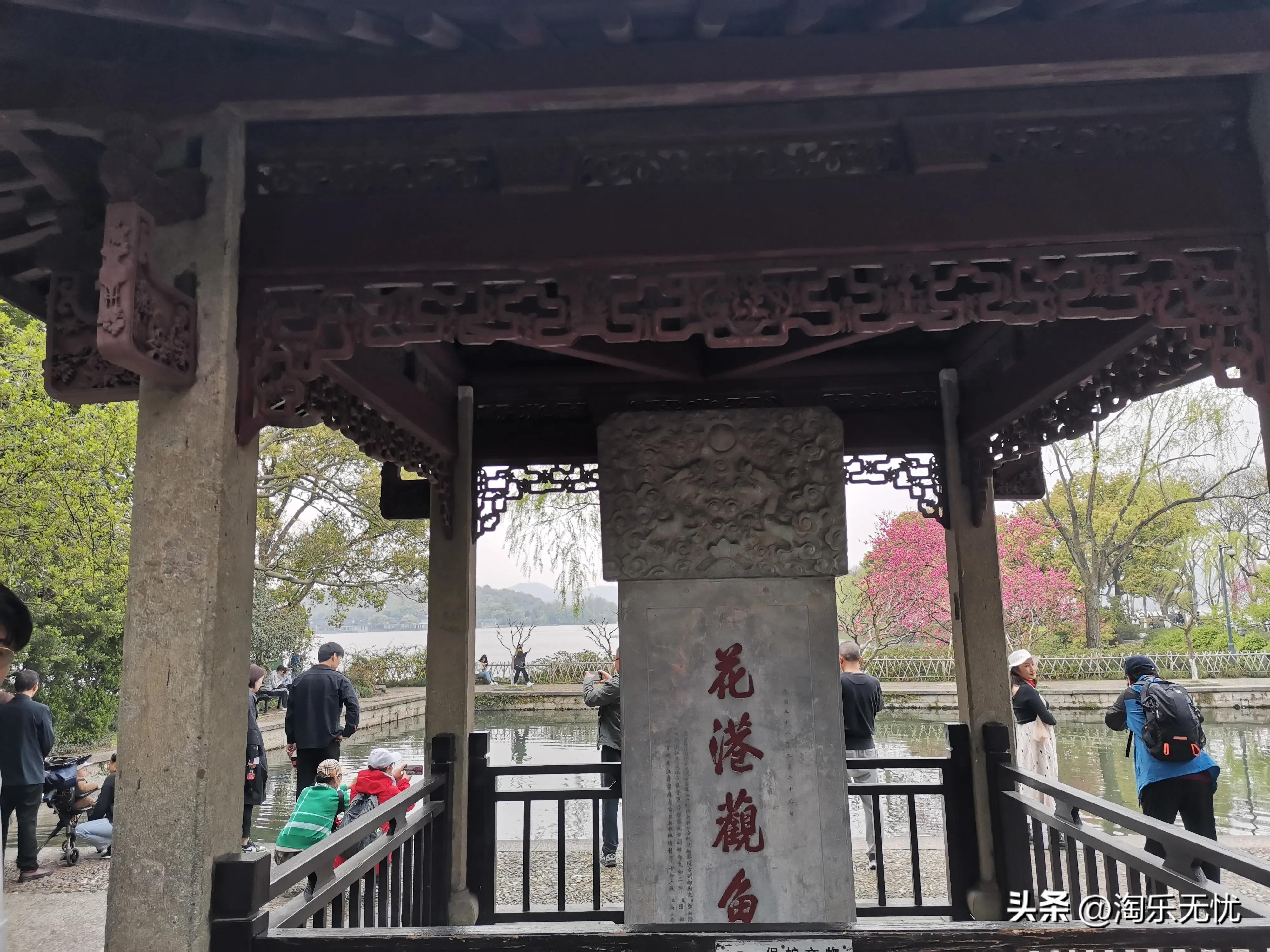 来杭州不要错过紧邻雷峰塔和苏堤的太子湾公园花展！#赏花地图