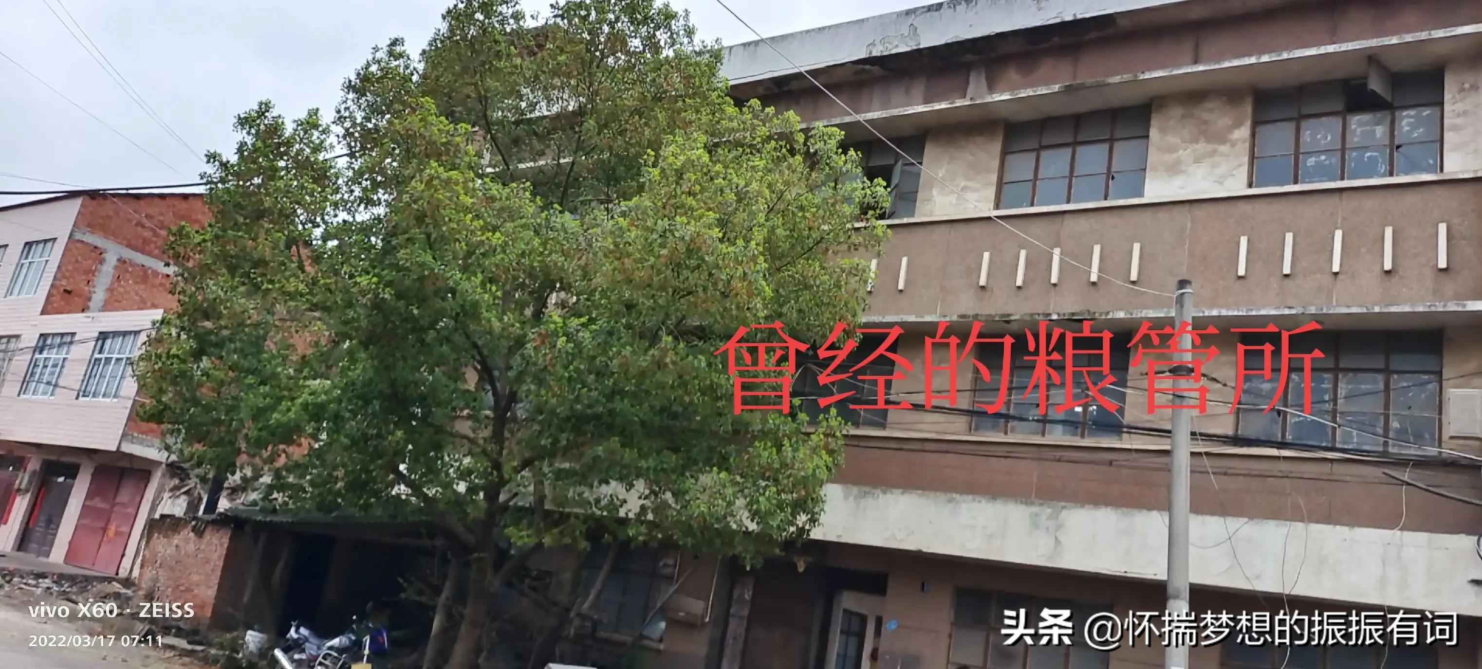 曾经辉煌没落后又重新崛起的产品,曾经的辉煌如今只剩下没落