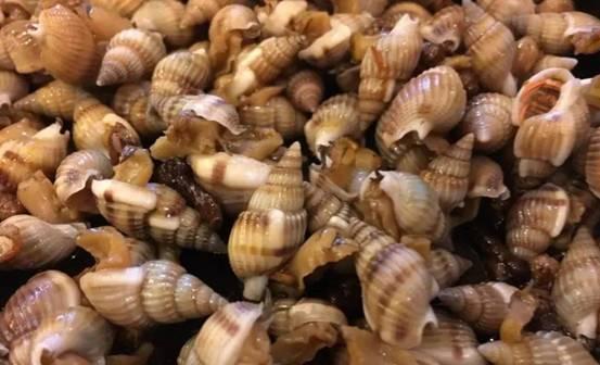 女子吃割香螺致心跳骤停,女子吃了两捧割香螺心跳骤停