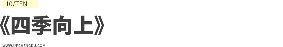 成都向上最新信息,年度向上力量合照