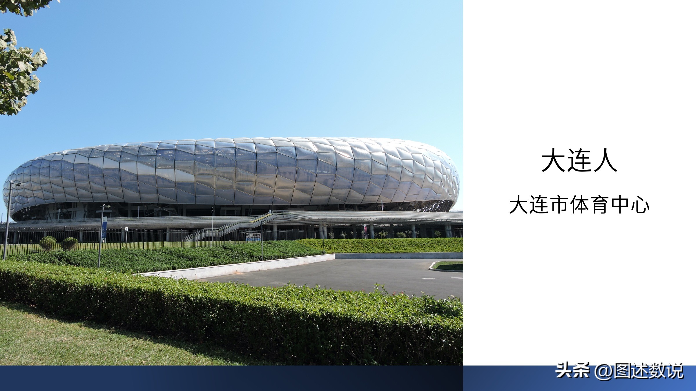 中国足球地域,中国职业球员分布