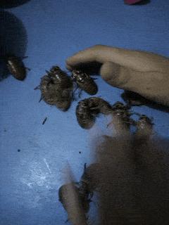 染了头发颜色不喜欢怎么办,染头发颜色不喜欢怎么办