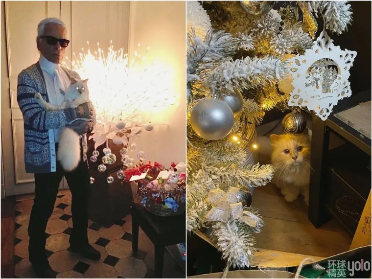 metgala绾㈡2022,metgala绾㈡2021