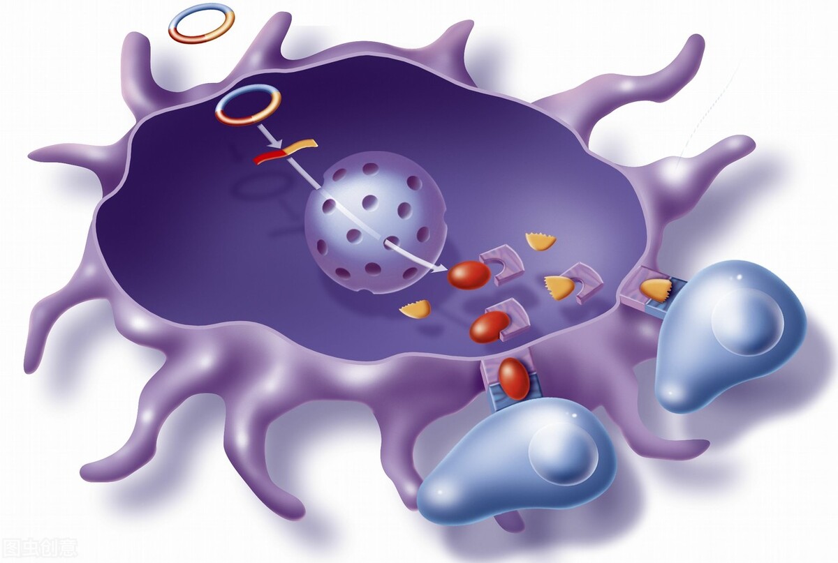 全球第2例艾滋病感染者自愈案例,全球第2例艾滋病自愈者