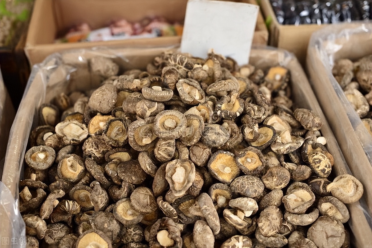 新型香菇烘干设备,香菇烘干器