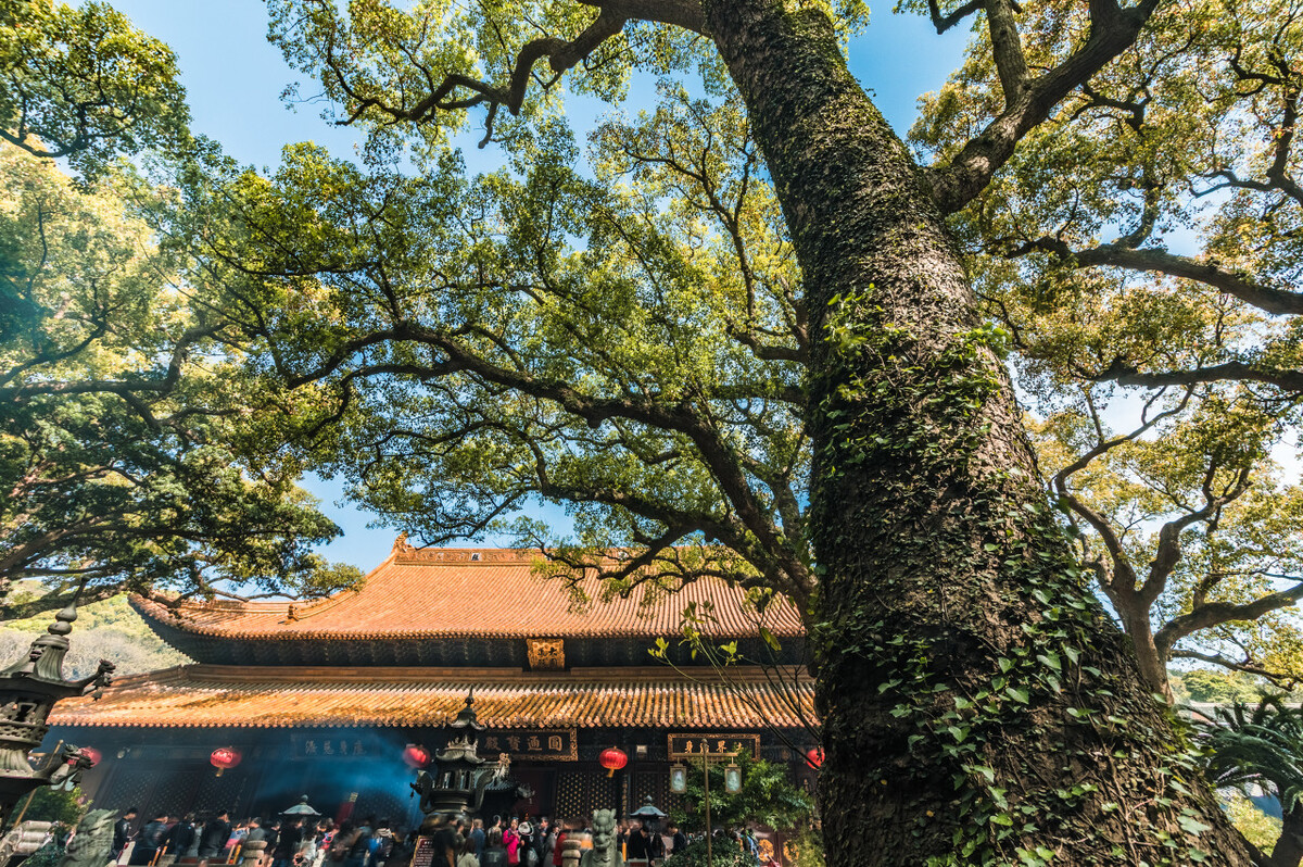 国内人气最旺的十大宗教名山,国内人气最旺十大名山