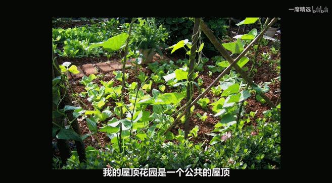 她只用了两个字，国产涨到9.5，没有一个好评是粉丝刷的