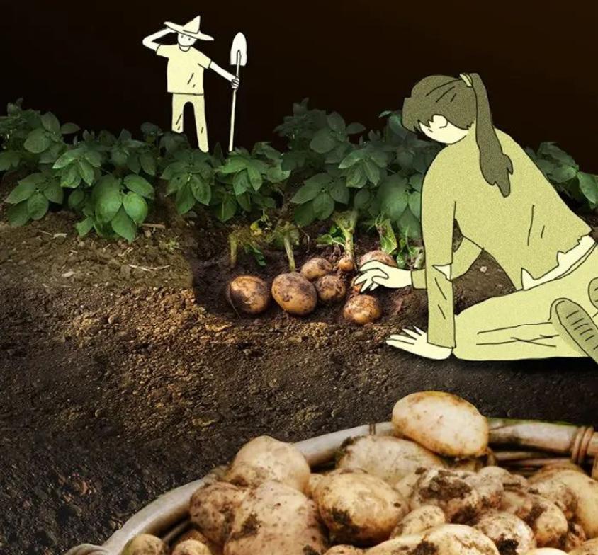 假如打仗了怎么生活,如果打仗了怎么样才能活下去