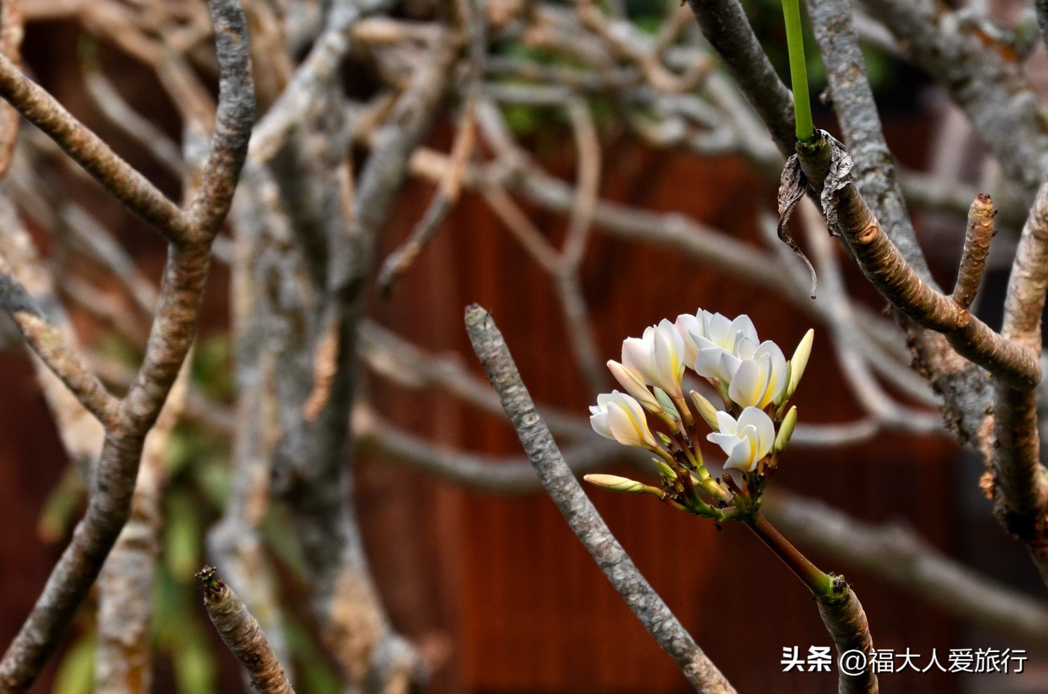 1000人民币在老挝什么水平,1000元在老挝的物价