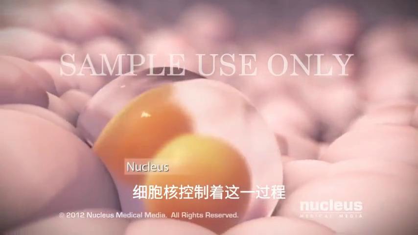 肺部鳞状肿瘤靶向治疗,什么是肿瘤靶向治疗