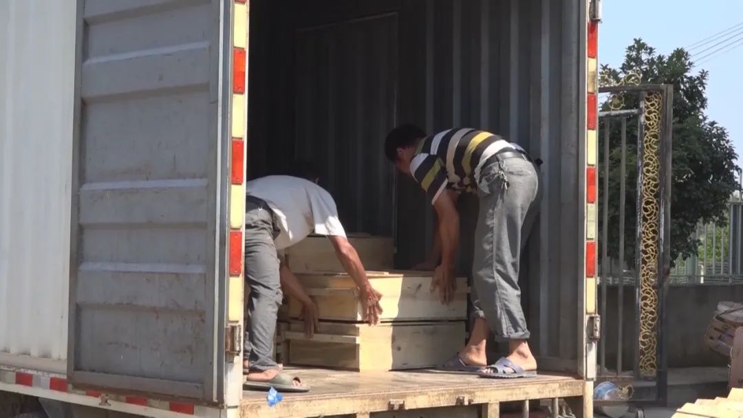 广东比较好的南丰甲鱼蛋营销策划,上海培育南丰甲鱼蛋大概价格多少