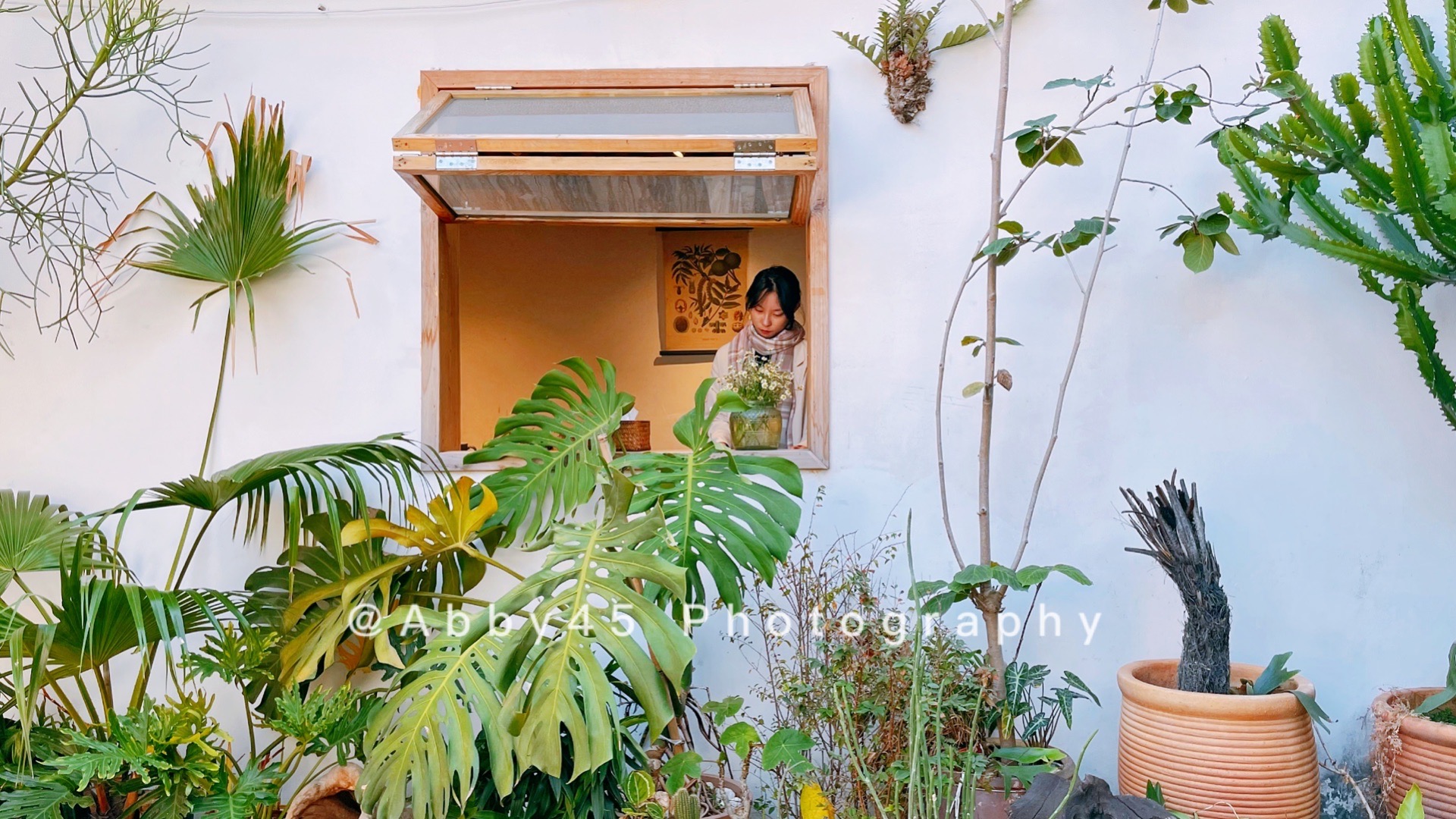 在厦门集美区有什么好玩的地方,厦门集美大社文创旅游街区图片