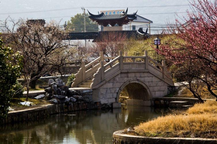 上海周边赏梅花的最佳地方,上海周边赏腊梅景点