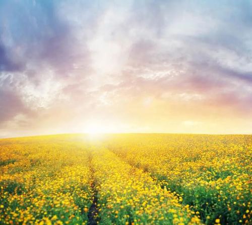 兴趣是最好的老师作文600字,兴趣作文中考范文