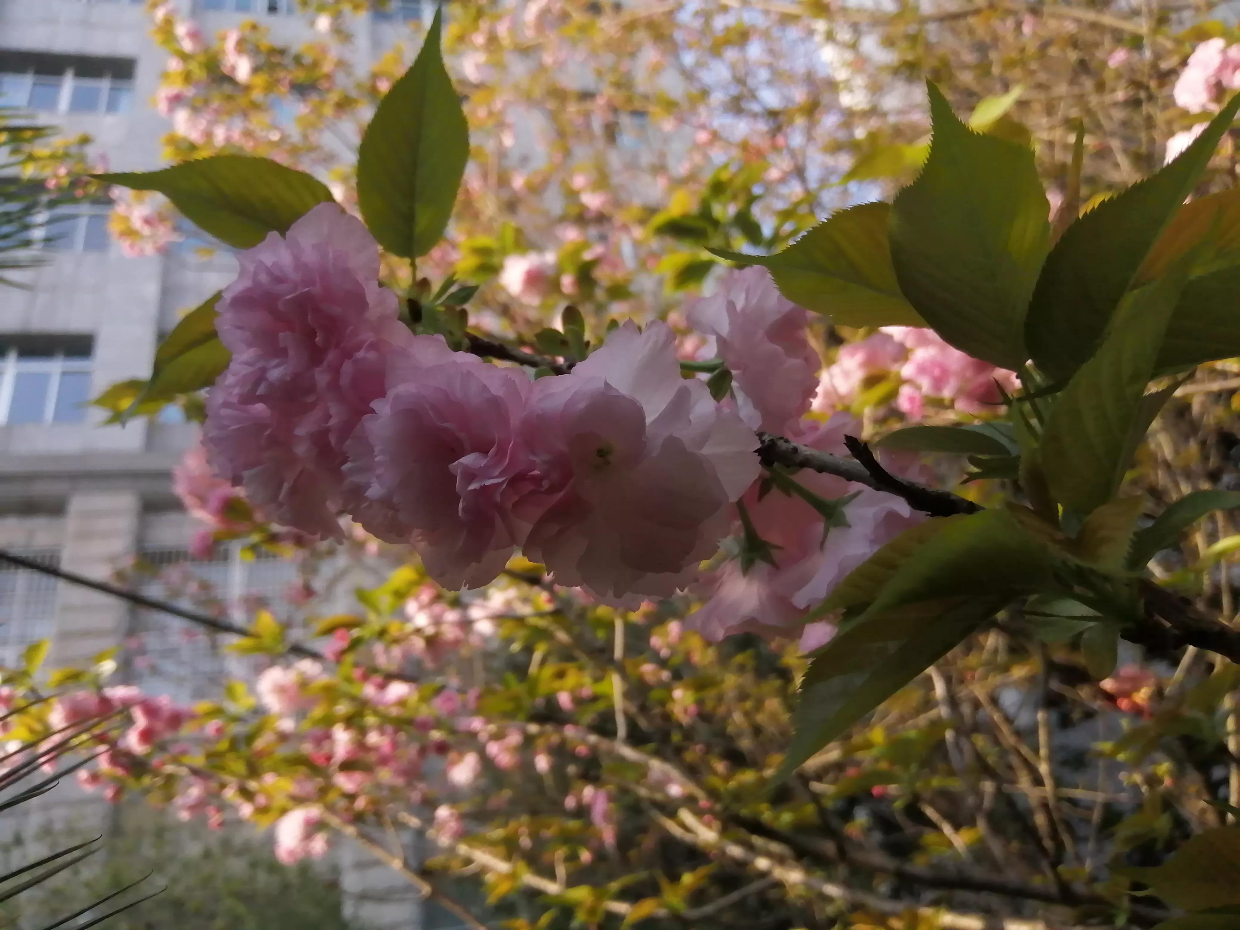 想不通的事情选择放下,想不通的事情暂时放下没事吧