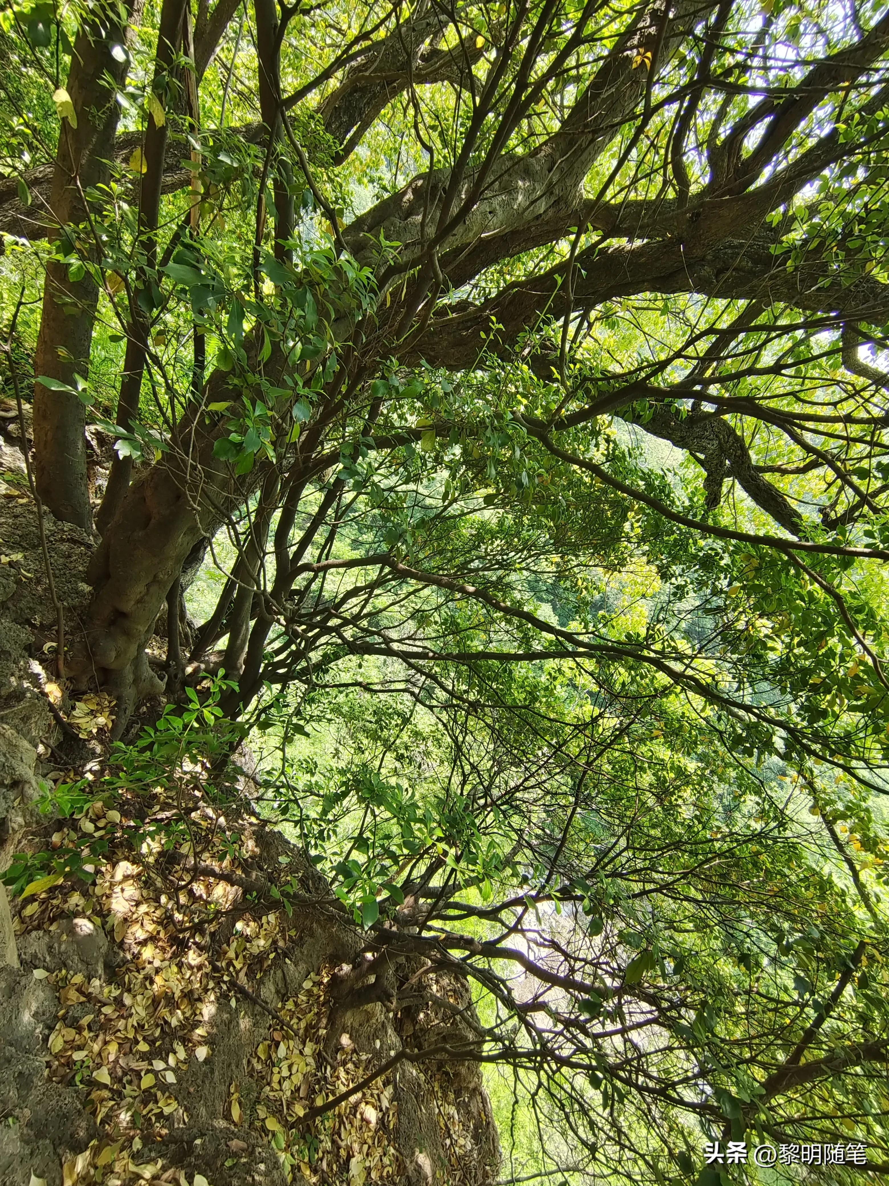 法海寺旅游攻略路线,法海禅寺在哪里