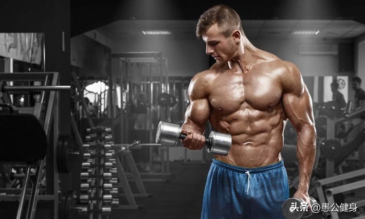 哑铃和杠铃哪个动作好,哑铃和杠铃应该怎样正确使用