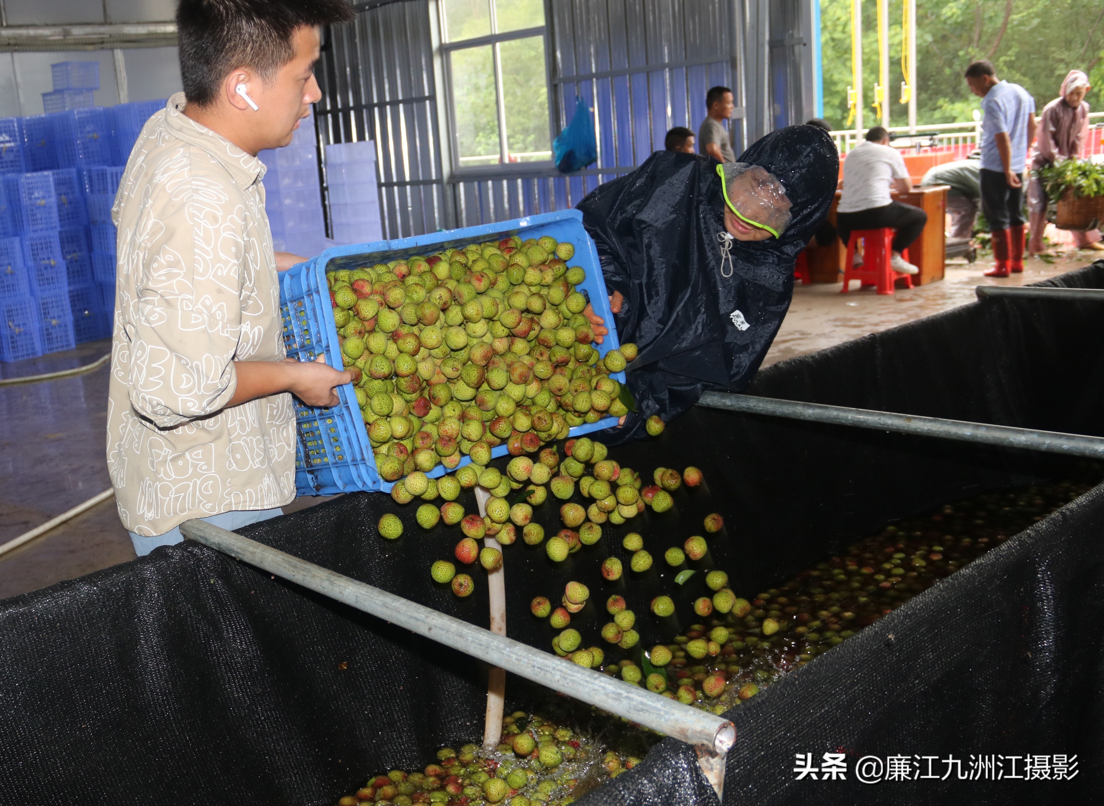 廉江吉水绿之源合作社,廉江市绿之渌分拣中心