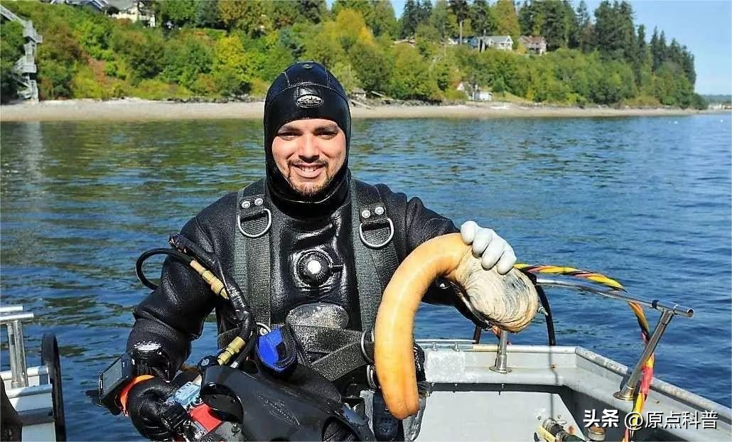 世界上最贵的海鲜十大排名,世界十大名贵海鲜