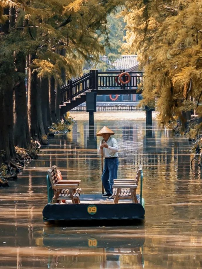 扬州值得推荐的早茶,广东早茶和扬州早茶真的没法比