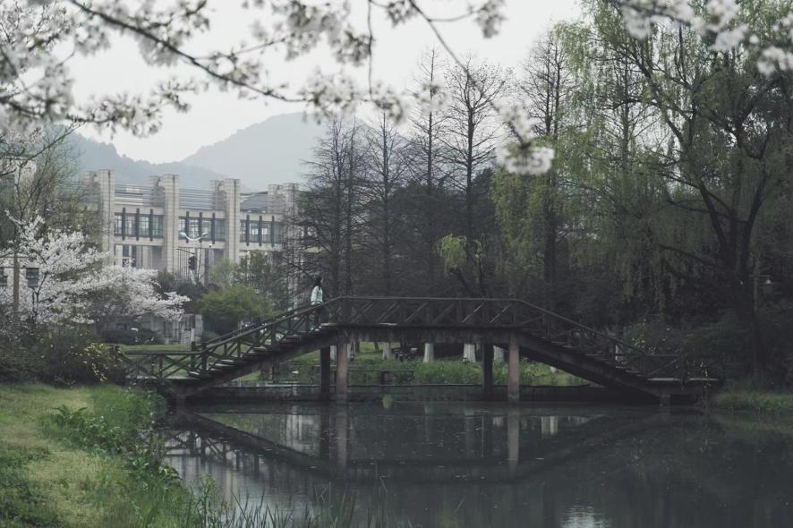 浙江大学新传考研上岸,新传浙江工业大学考研