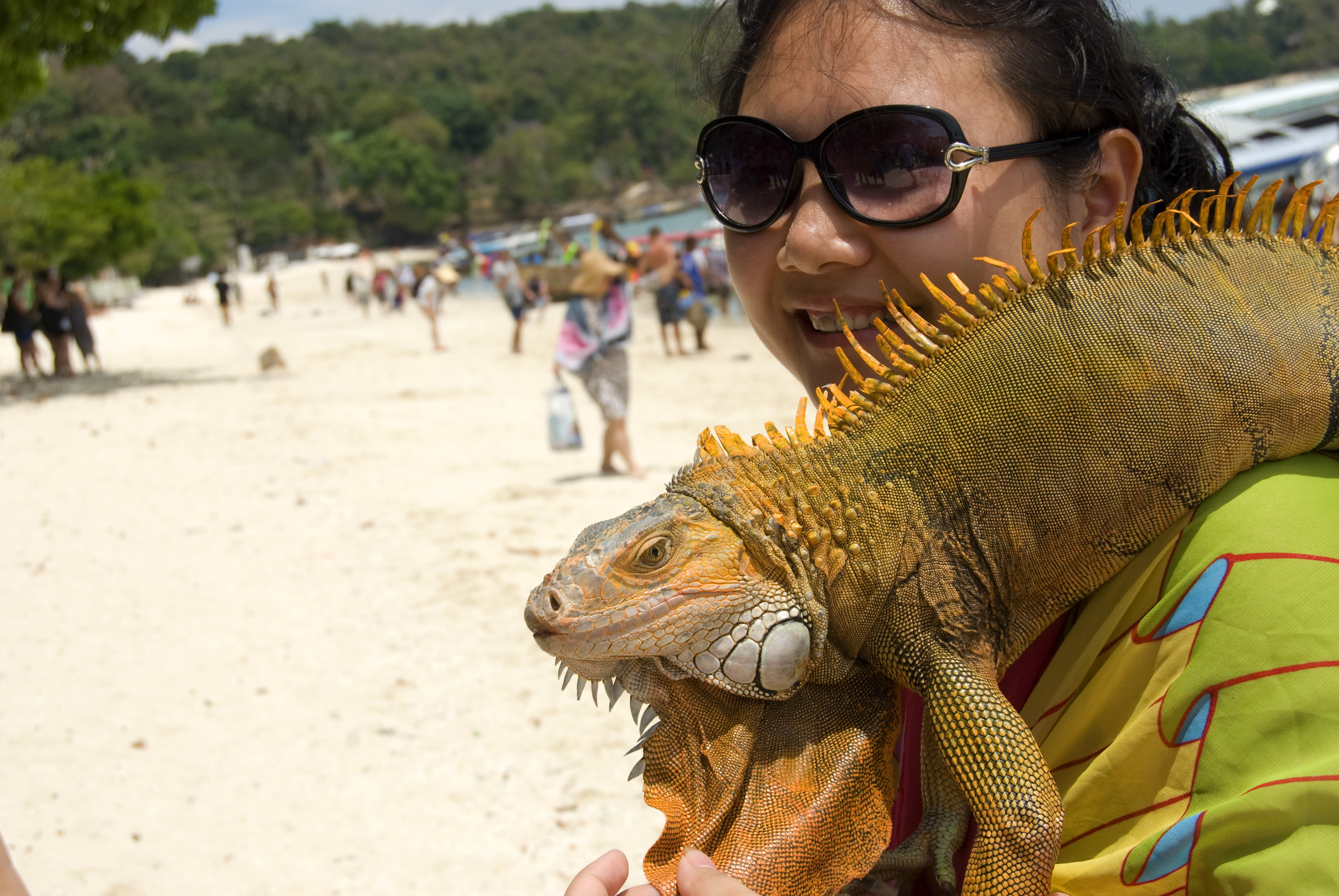三亚和泰国哪个更适合旅游,三亚旅游和泰国旅游花费差多少钱