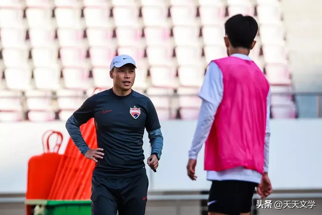 中国足球运动员陈涛集锦,陈涛评价中国足球