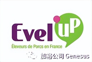 全球生猪养殖企业排名,世界十大牧业集团排名