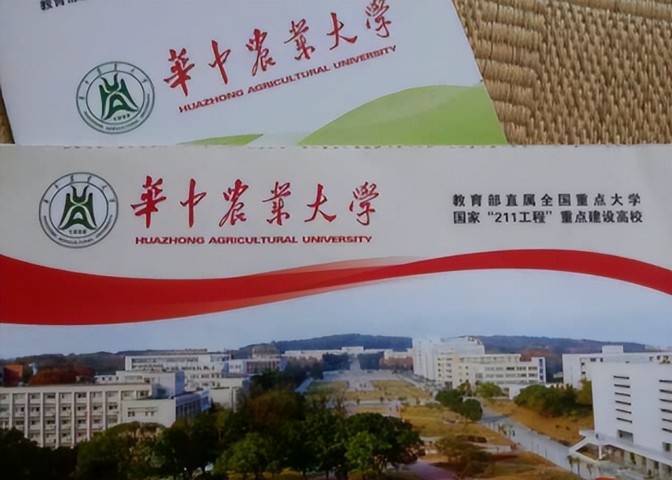 养父母靠煤气养大女儿20年后寻亲,养父扛煤气罐供女孩读到博士