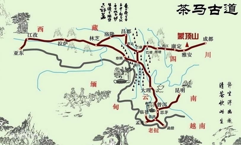 竹叶青和峨眉雪芽差距,为什么竹叶青茶叶有的是黄色的