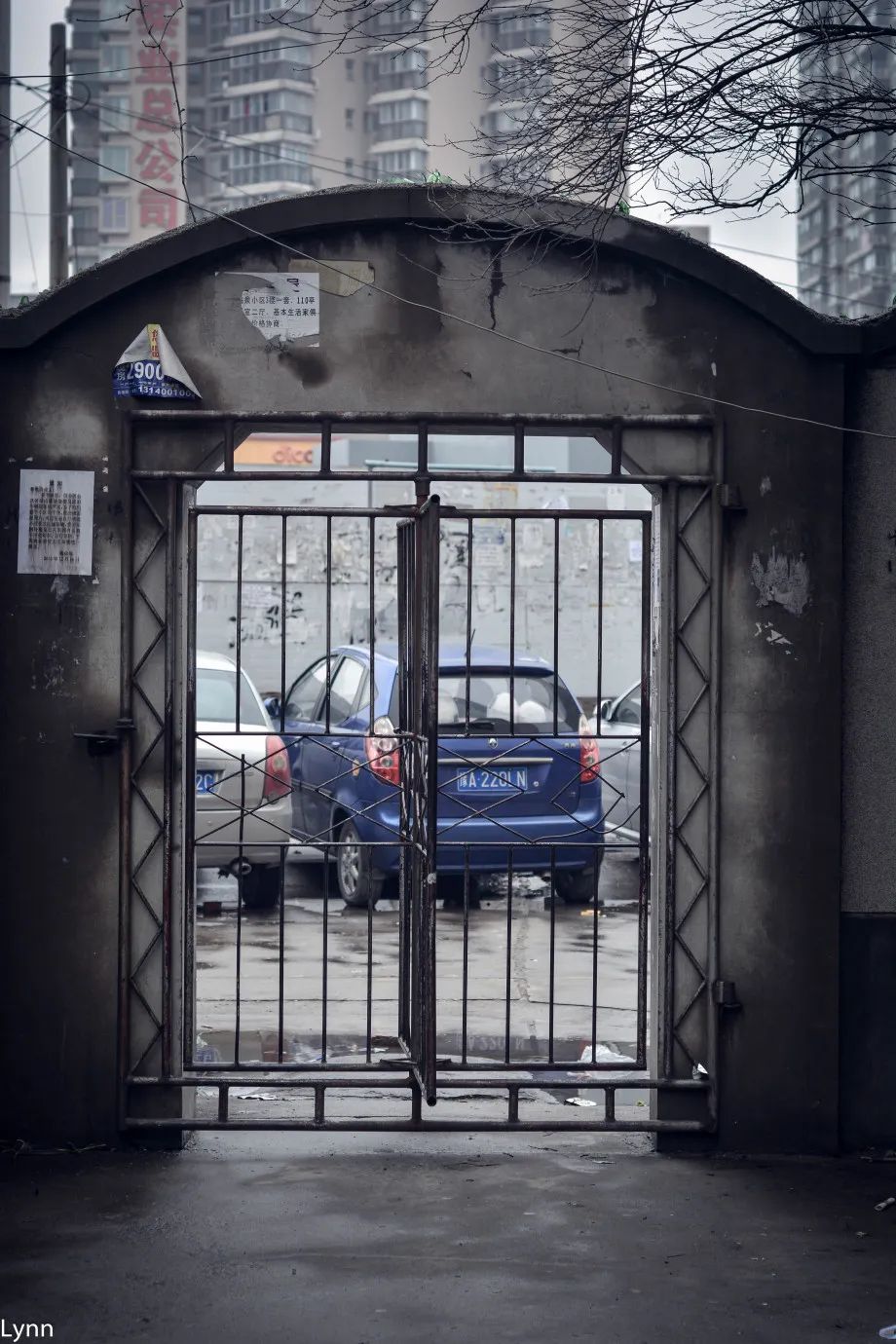 关于郑州的的回忆,关于郑州你知道多少