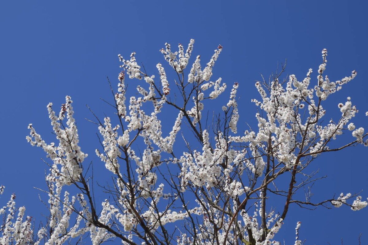 聪明的孩子都在用的阅读技巧,你一定要知道