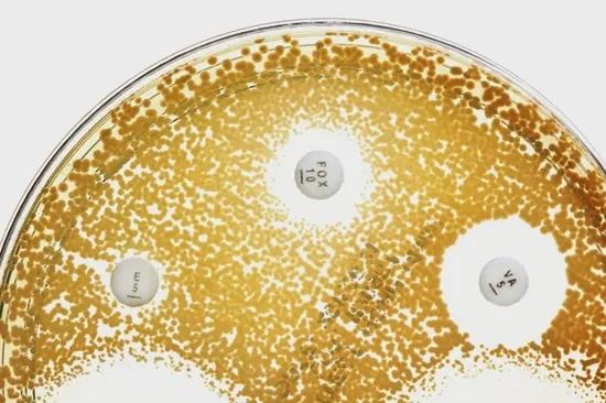 颠覆技术是供给侧结构改革吗,颠覆技术孵化