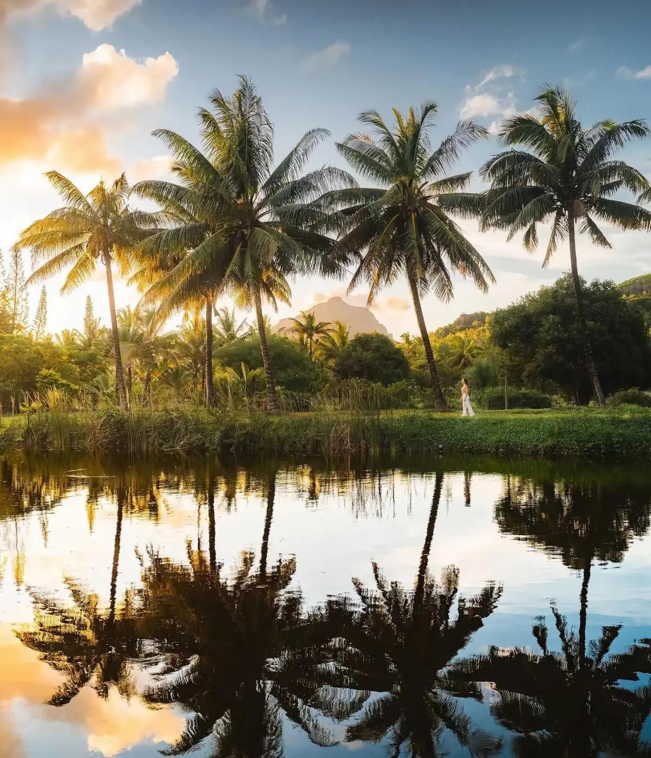 非洲毛里求斯是非洲最富裕的国家,华人云集,还对中国人免签