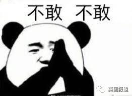 冬奥张国伟比赛视频,张国伟奥运搞笑