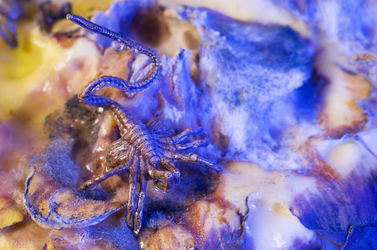 科幻片中的十大怪兽,烂番茄十大科幻片