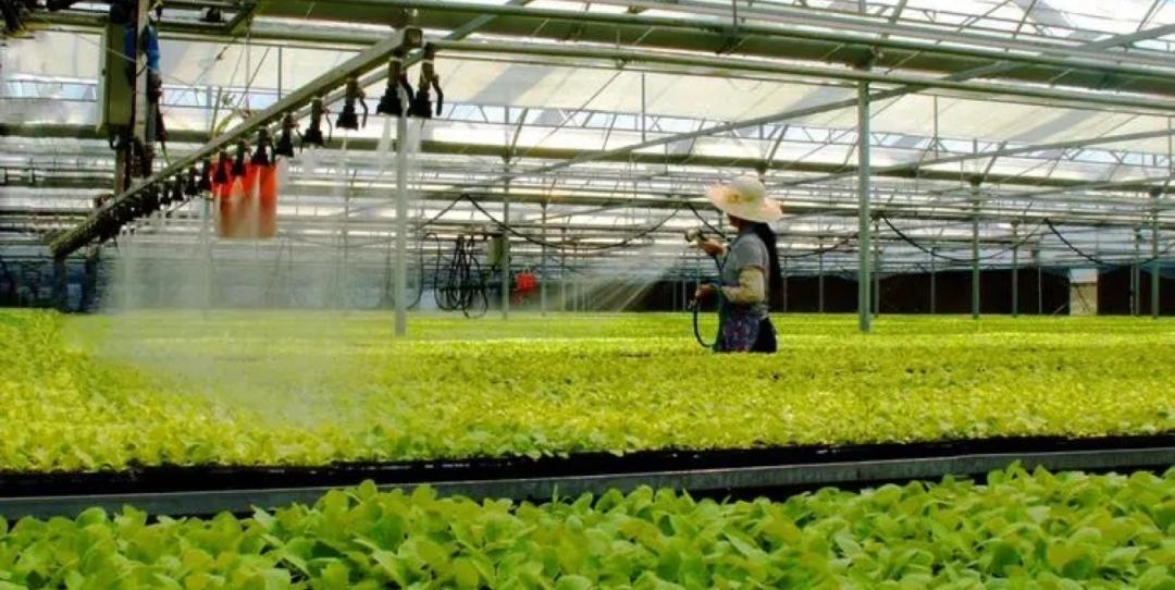 数字农业和智慧农业的区别,互联网背景下的智慧农业