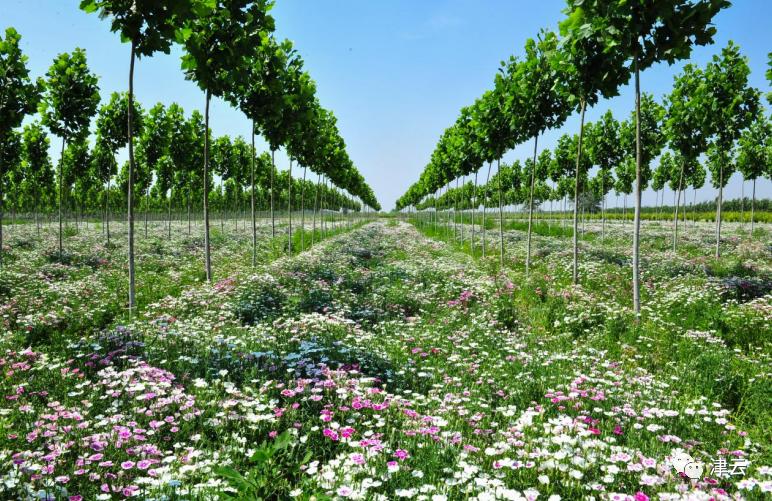 协和天津医院二期,北京协和医学院天津医院最新消息