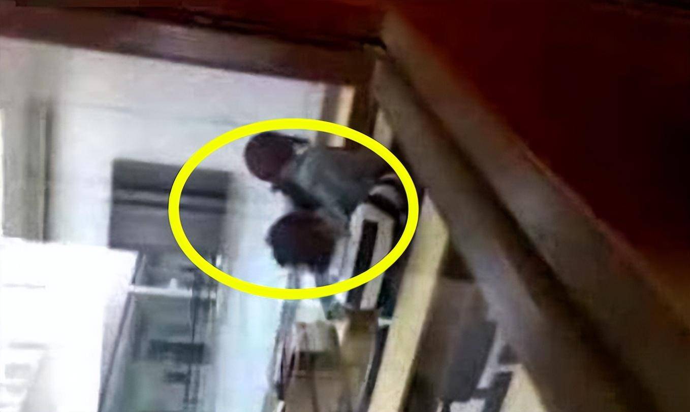 校园爆料：四川传媒大学情侣在图书馆内激情狂欢，6分9秒视频流出