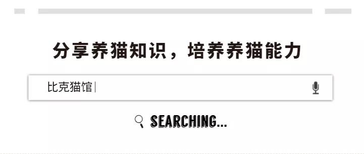 全价猫粮冻干猫粮测评,catfood猫粮怎么样啊