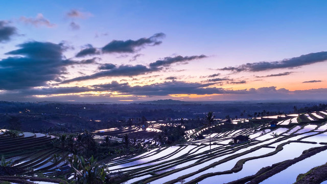 巴厘岛命案最新进展,巴厘岛命案的最新消息