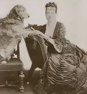 养宠知识问与答,宠兽小知识100条