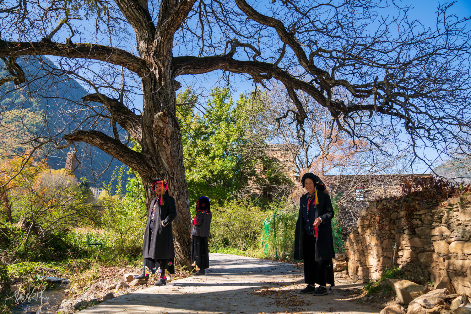 我的2022年度报告,我的2022原版