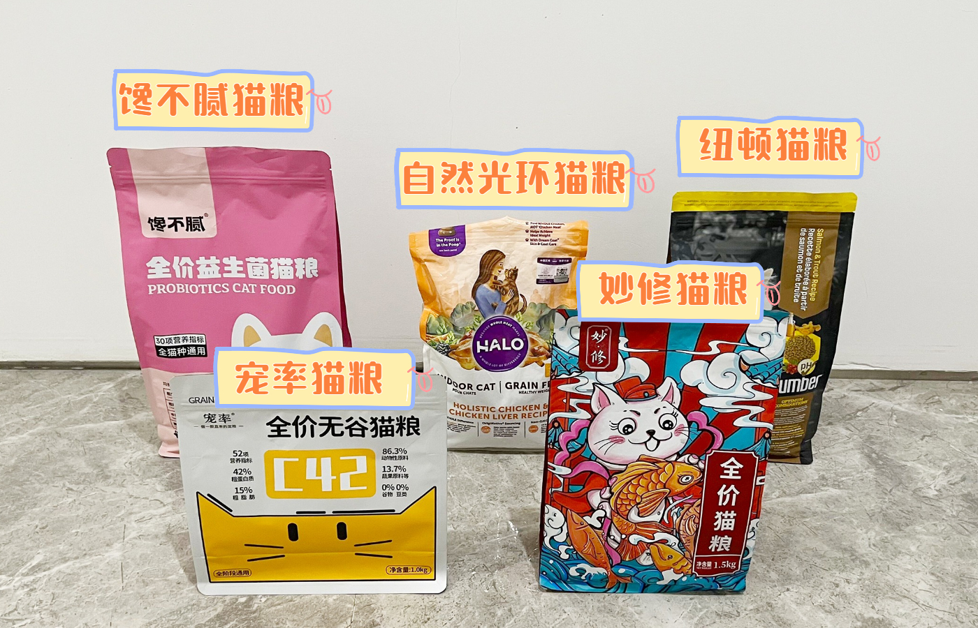 猫猫的寿命一般有多长,猫猫的寿命是多少年